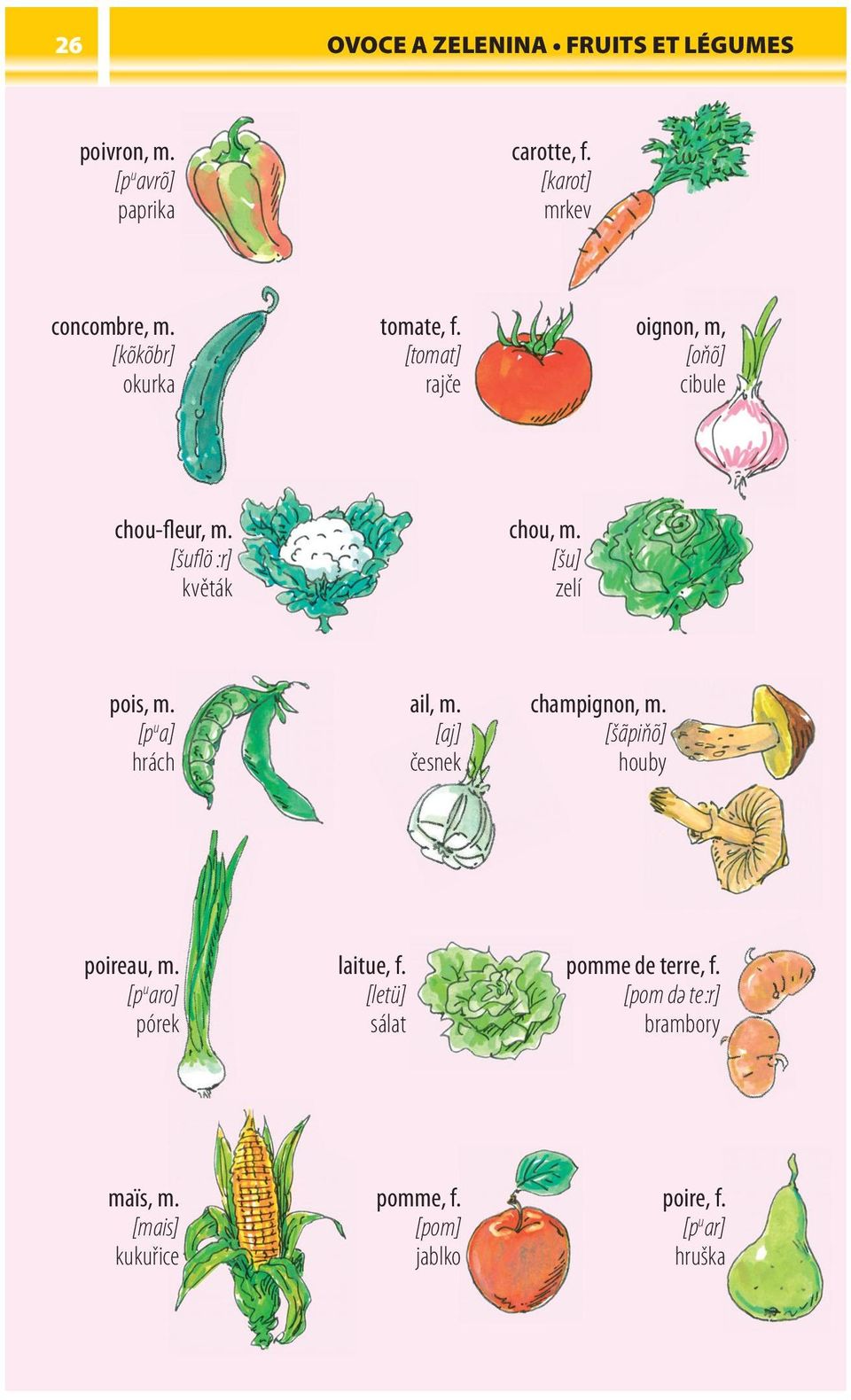 [šu] zelí pois, m. [p u a] hrách ail, m. [aj] česnek champignon, m. [šãpiňõ] houby poireau, m.