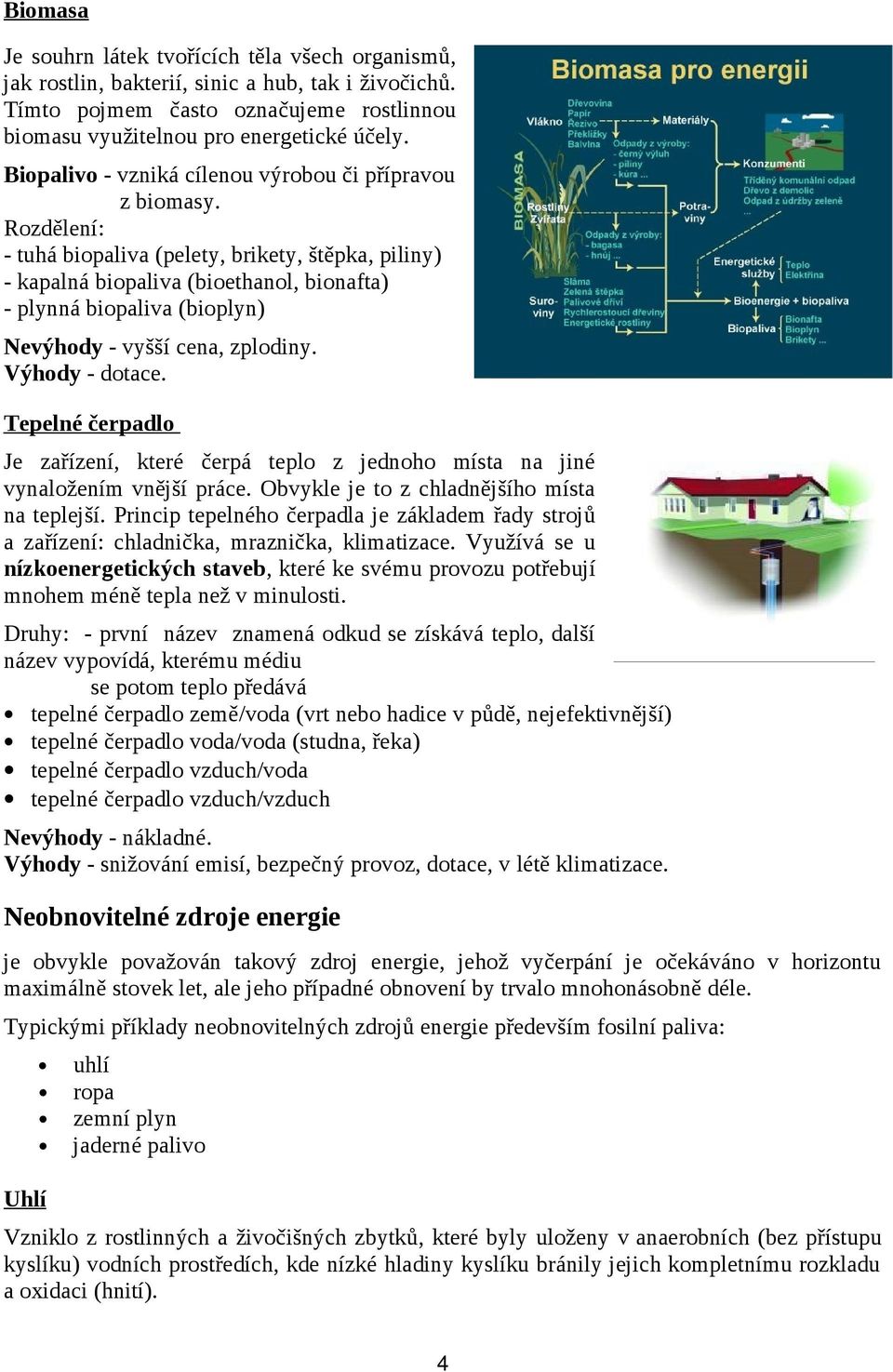 Rozdělení: - tuhá biopaliva (pelety, brikety, štěpka, piliny) - kapalná biopaliva (bioethanol, bionafta) - plynná biopaliva (bioplyn) Nevýhody - vyšší cena, zplodiny. Výhody - dotace.