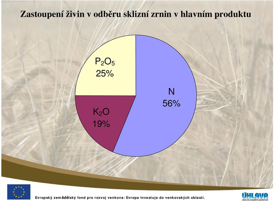 v hlavním produktu P