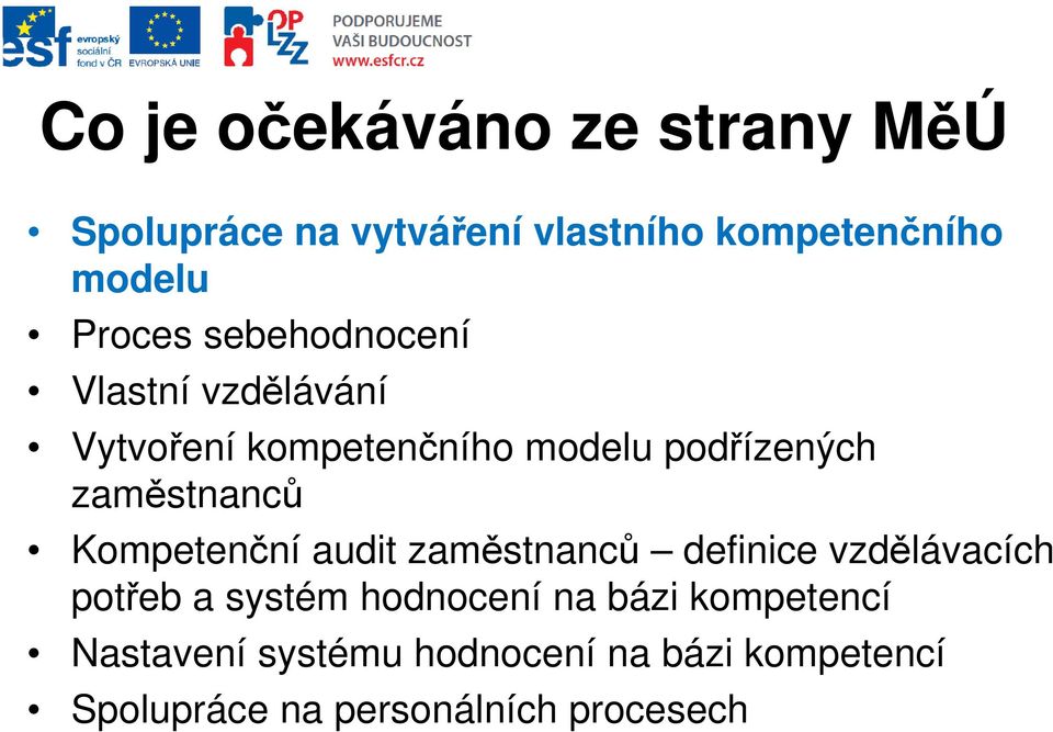 zaměstnanců Kompetenční audit zaměstnanců definice vzdělávacích potřeb a systém hodnocení