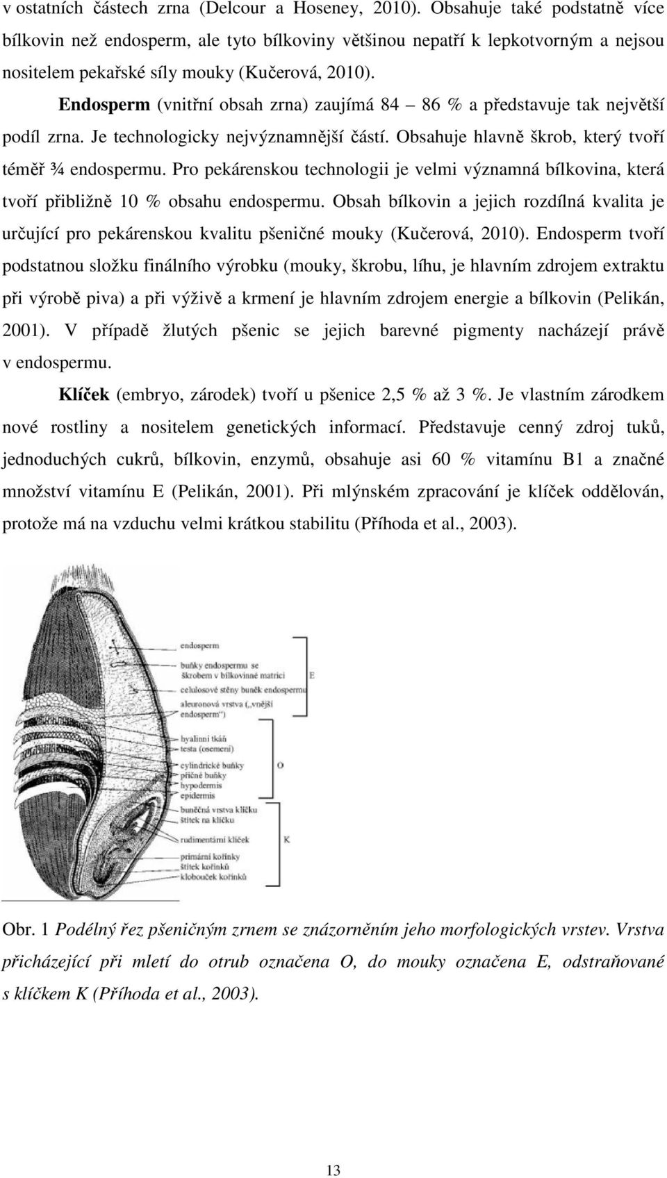 Endosperm (vnitřní obsah zrna) zaujímá 84 86 % a představuje tak největší podíl zrna. Je technologicky nejvýznamnější částí. Obsahuje hlavně škrob, který tvoří téměř ¾ endospermu.
