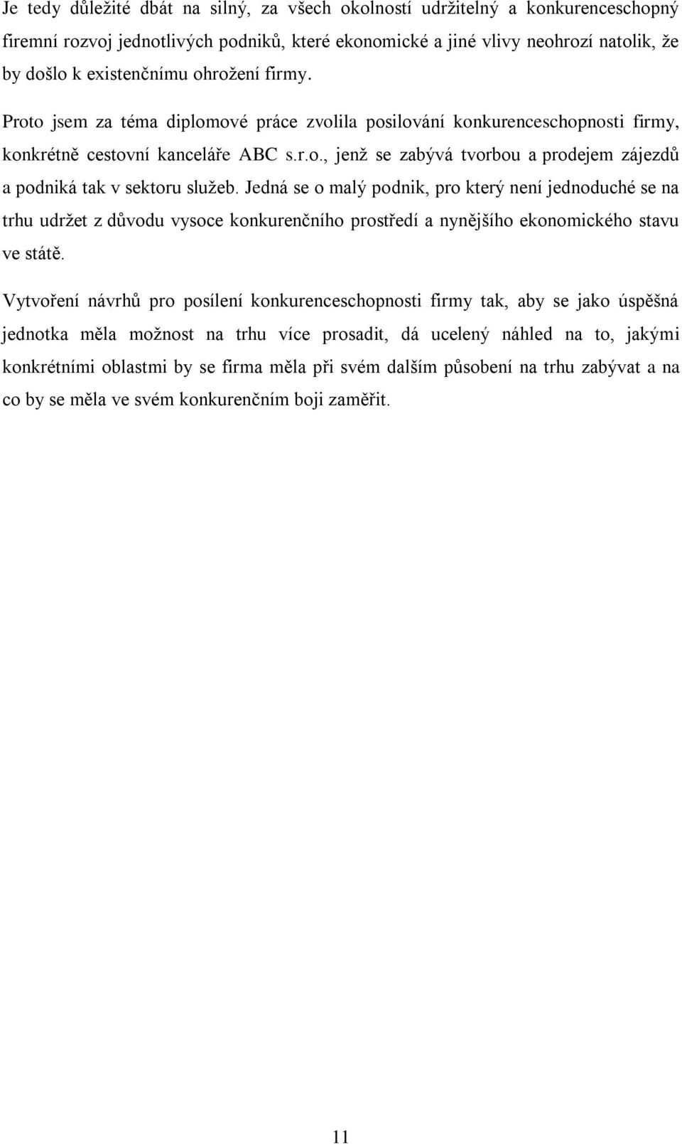 Jedná se o malý podnik, pro který není jednoduché se na trhu udrţet z dŧvodu vysoce konkurenčního prostředí a nynějšího ekonomického stavu ve státě.