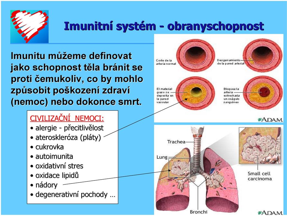 nebo dokonce smrt.