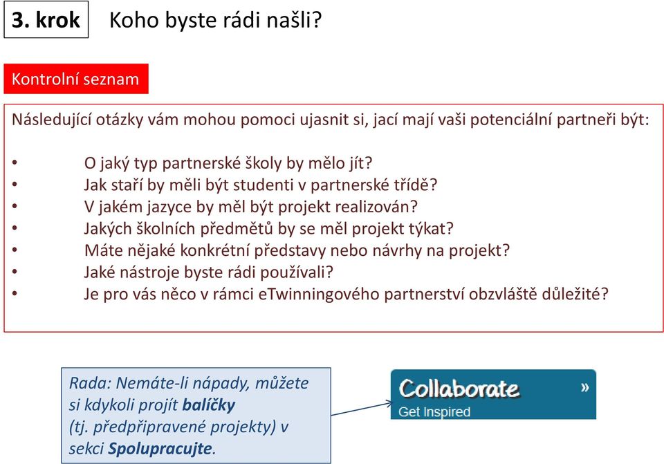 Jak staří by měli být studenti v partnerské třídě? V jakém jazyce by měl být projekt realizován? Jakých školních předmětů by se měl projekt týkat?