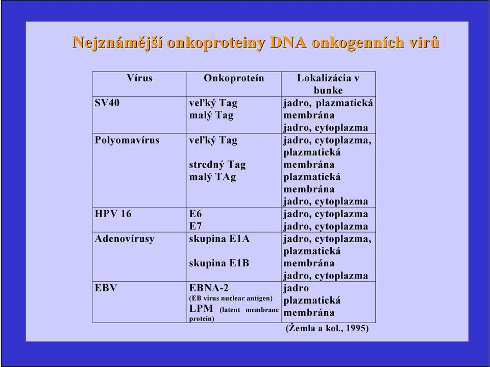 jadro, cytoplazma HPV 16 E6 E7 jadro, cytoplazma jadro, cytoplazma Adenovírusy skupina E1A jadro, cytoplazma, skupina E1B plazmatická