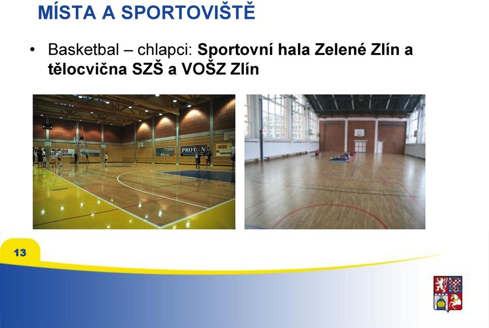 Sportovní hala Zelené