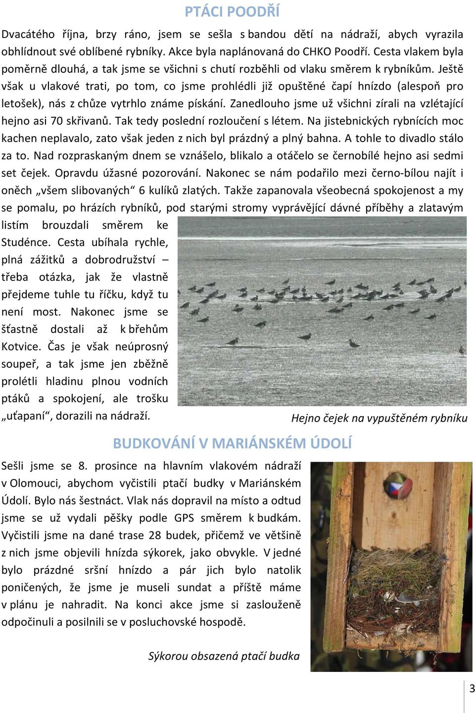 Ještě však u vlakové trati, po tom, co jsme prohlédli již opuštěné čapí hnízdo (alespoň pro letošek), nás z chůze vytrhlo známe pískání.