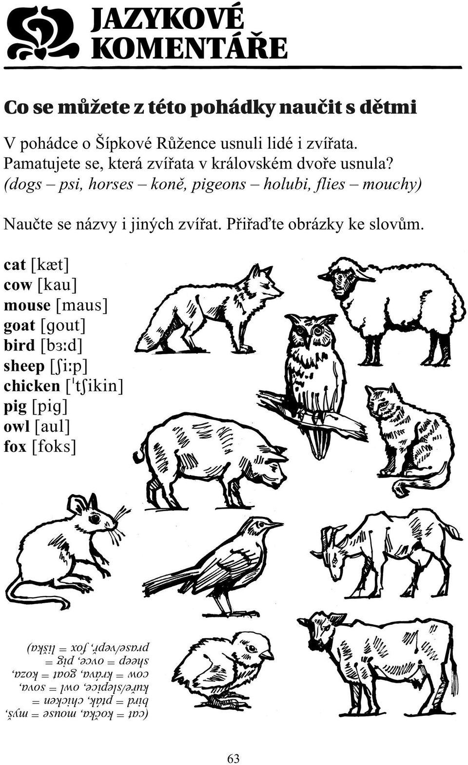 (dogs psi, horses koně, pigeons holubi, flies mouchy) Naučte se názvy i jiných zvířat. Přiřaďte obrázky ke slovům.