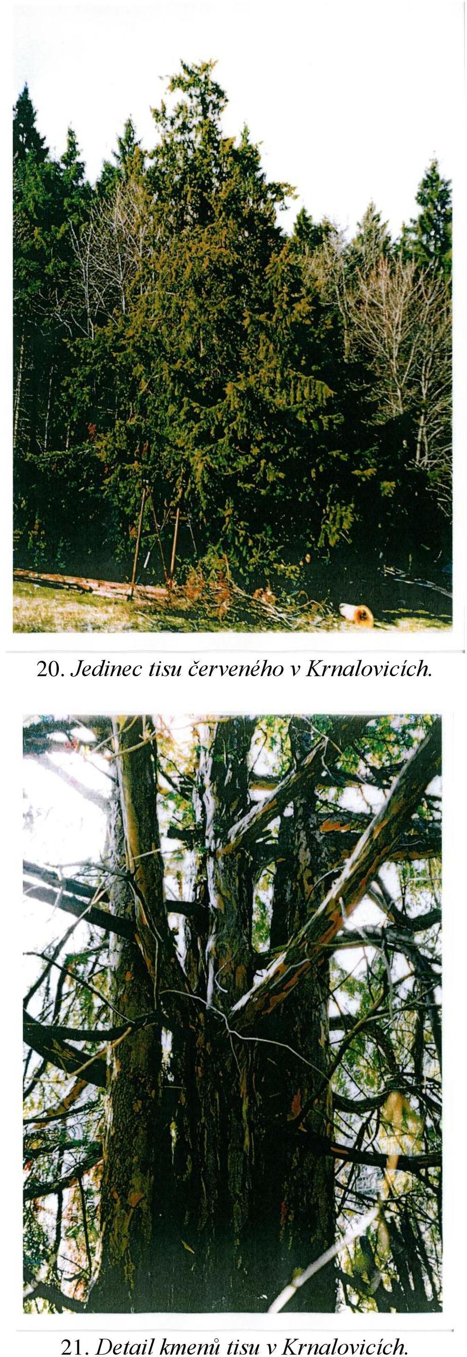 Krnalovicích. 21.