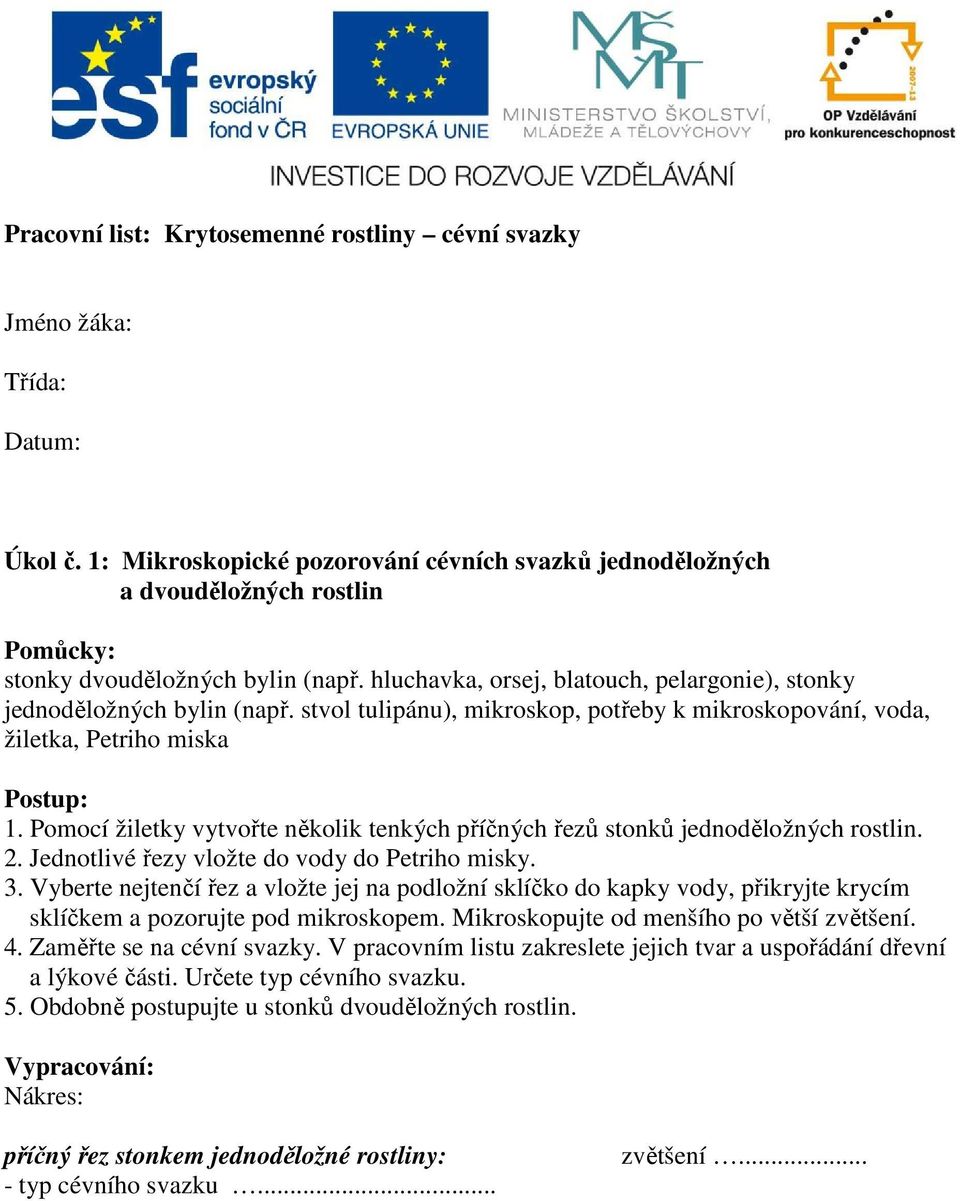 stvol tulipánu), mikroskop, potřeby k mikroskopování, voda, žiletka, Petriho miska 1. Pomocí žiletky vytvořte několik tenkých příčných řezů stonků jednoděložných rostlin. 2.