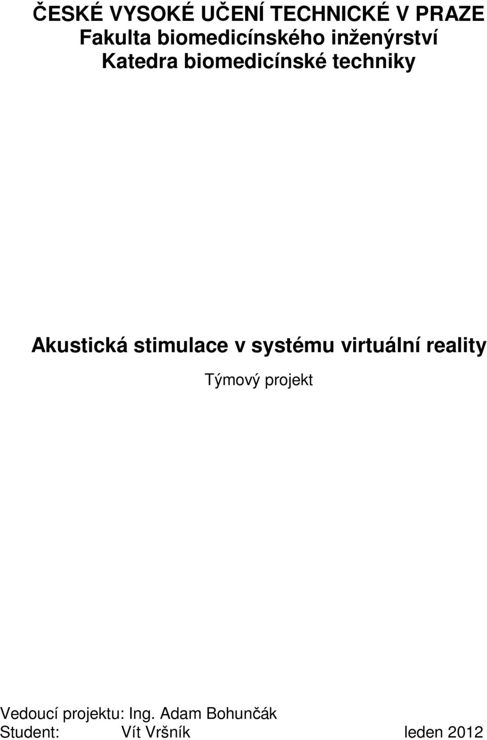 Akustická stimulace v systému virtuální reality Týmový