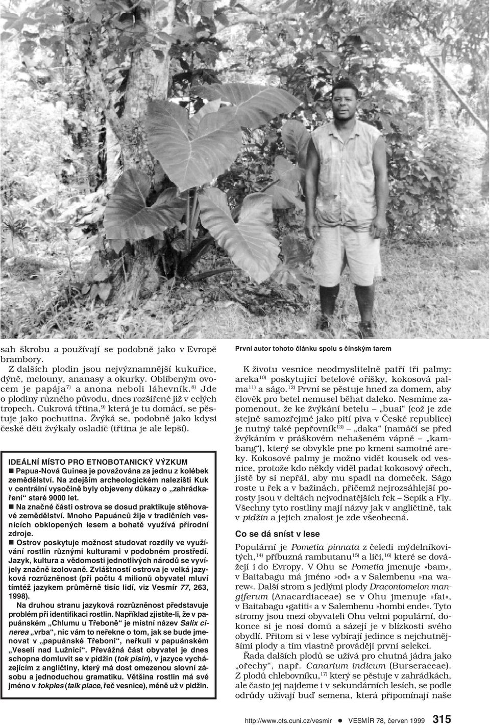 Žvýká se, podobně jako kdysi české děti žvýkaly osladič (třtina je ale lepší). IDEÁLNÍ MÍSTO PRO ETNOBOTANICKÝ VÝZKUM n Papua-Nová Guinea je považována za jednu z kolébek zemědělství.