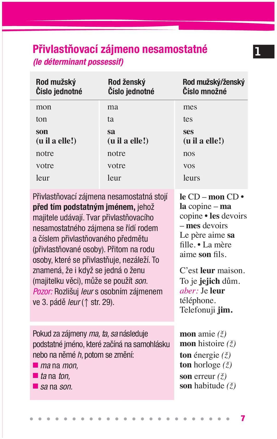 Tvar přivlastňovacího nesamostatného zájmena se řídí rodem a číslem přivlastňovaného předmětu (přivlastňované osoby). Přitom na rodu osoby, které se přivlastňuje, nezáleží.