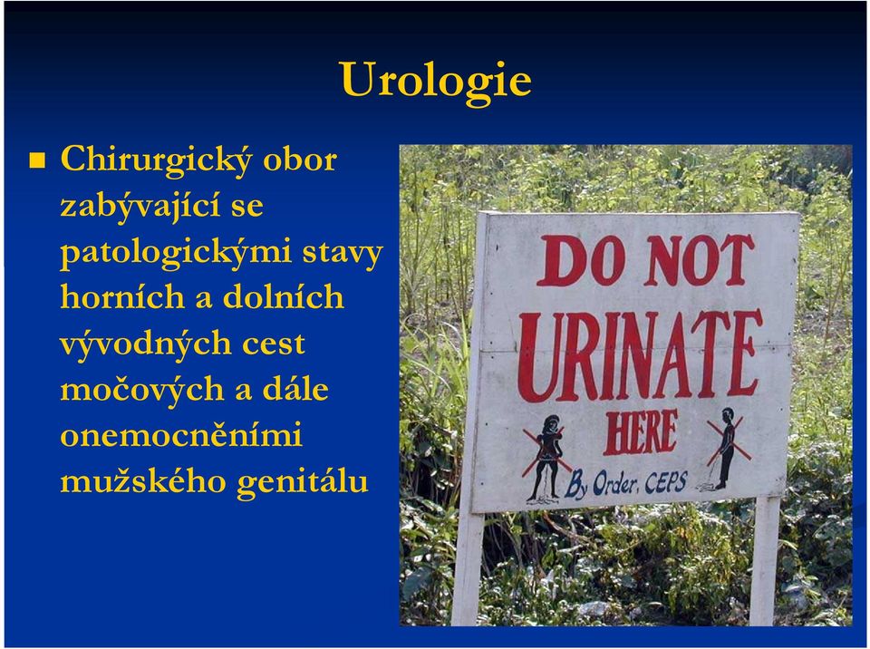 dolních vývodných cest močových a