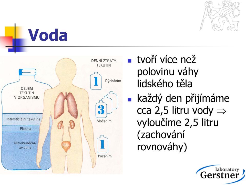 přijímáme cca 2,5 litru vody