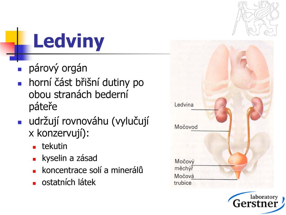 rovnováhu (vylučují x konzervují): tekutin