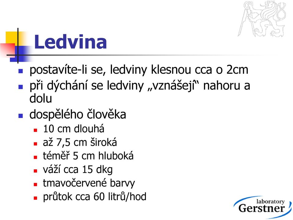 člověka 10 cm dlouhá až 7,5 cm široká téměř 5 cm