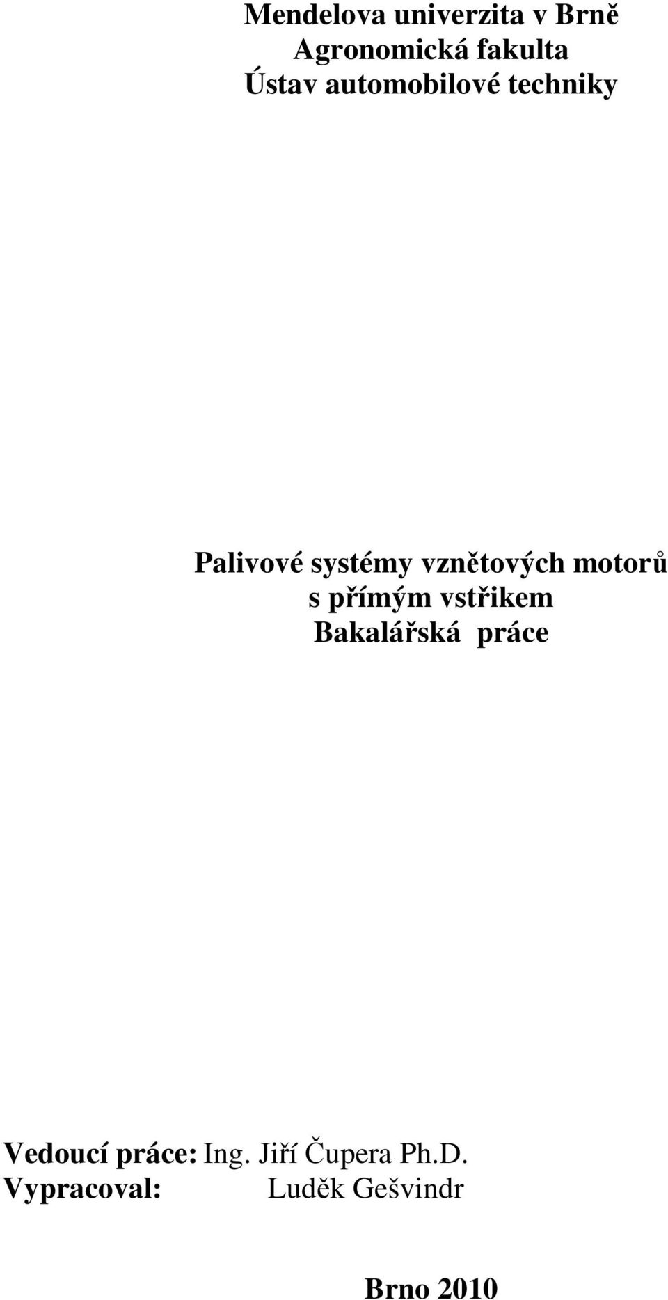 motorů s přímým vstřikem Bakalářská práce Vedoucí