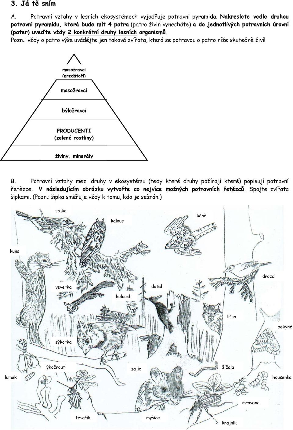 : vždy o patro výše uvádějte jen taková zvířata, která se potravou o patro níže skutečně živí! masožravci (predátoři) masožravci býložravci PRODUCENTI (zelené rostliny) živiny, minerály B.