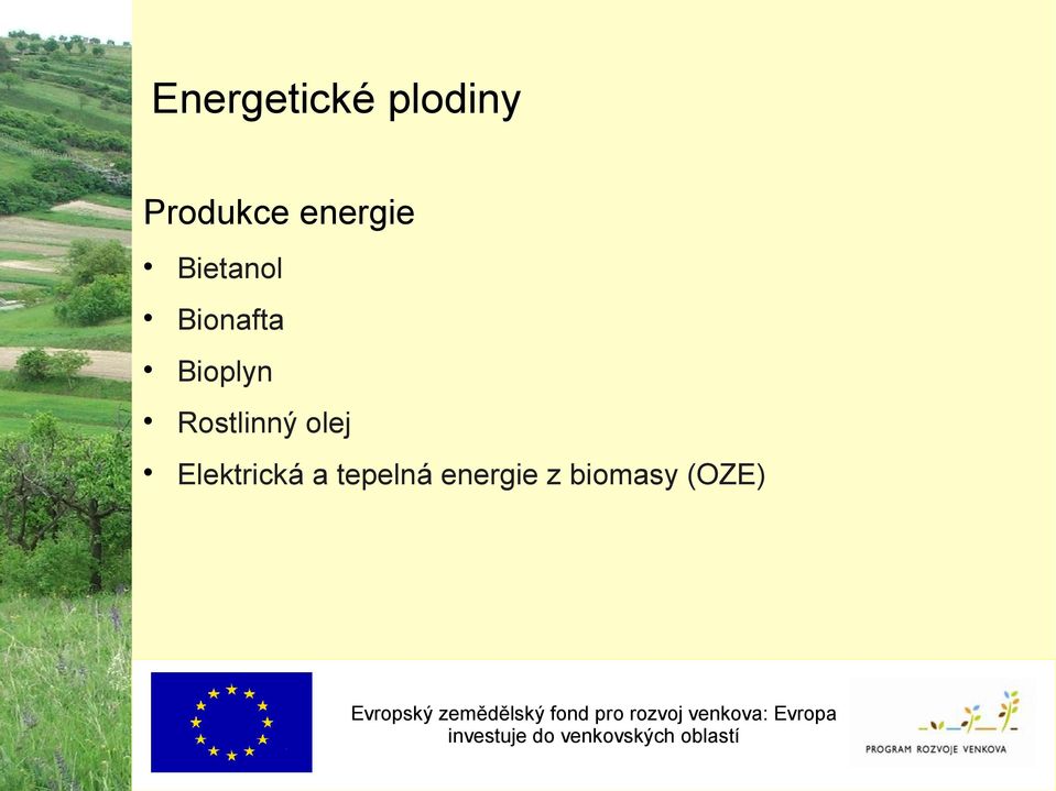 Bioplyn Rostlinný olej