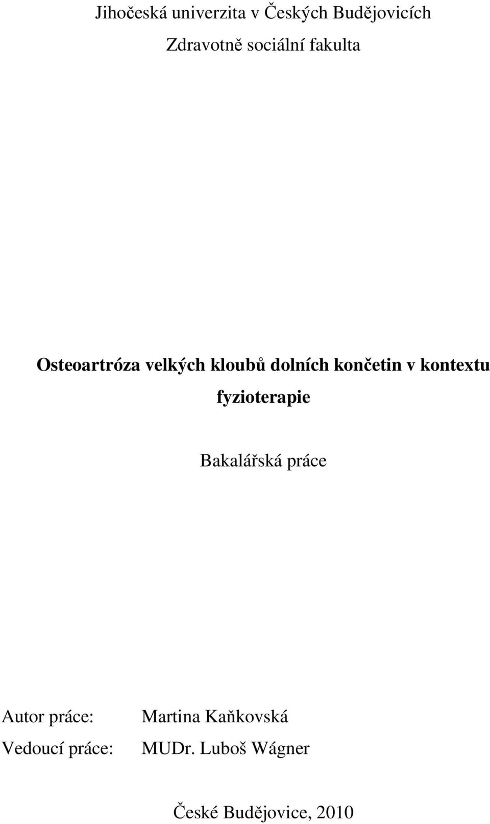 končetin v kontextu fyzioterapie Bakalářská práce Autor