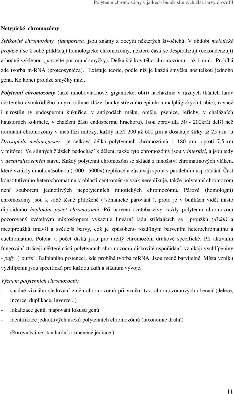 Délka štětkovitého chromozómu - až 1 mm. Probíhá zde tvorba m-rna (proteosyntéza). Existuje teorie, podle níž je každá smyčka nositelkou jednoho genu. Ke konci profáze smyčky mizí.