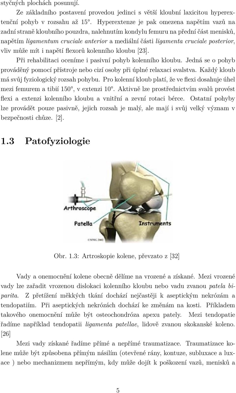 posterior, vliv může mít i napětí flexorů kolenního kloubu [23]. Při rehabilitaci oceníme i pasivní pohyb kolenního kloubu.