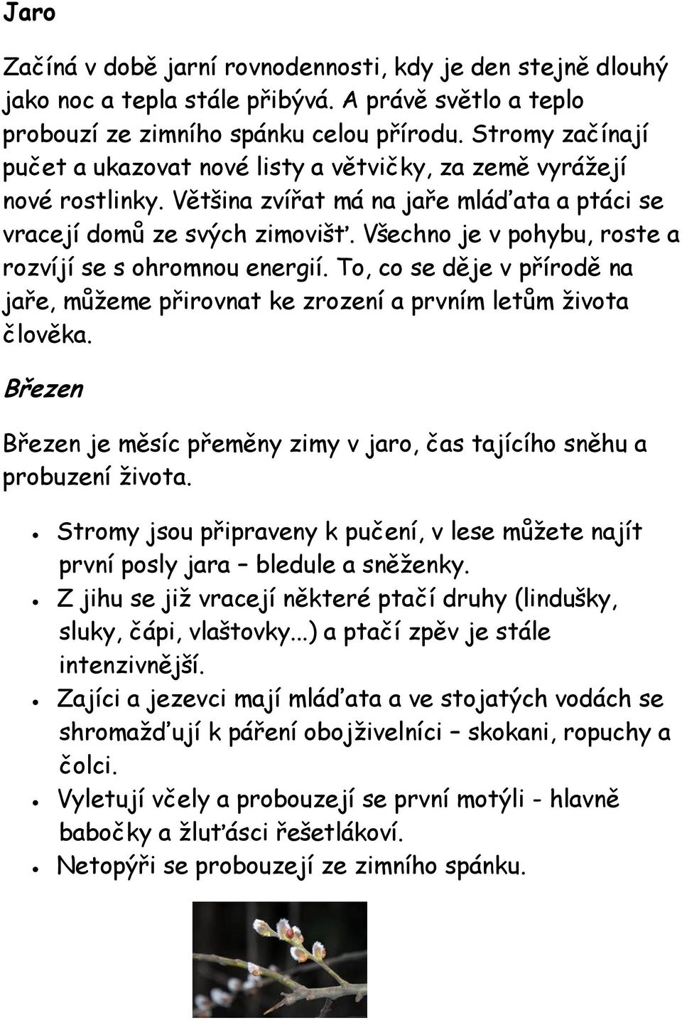 Všechno je v pohybu, roste a rozvíjí se s ohromnou energií. To, co se děje v přírodě na jaře, můžeme přirovnat ke zrození a prvním letům života člověka.