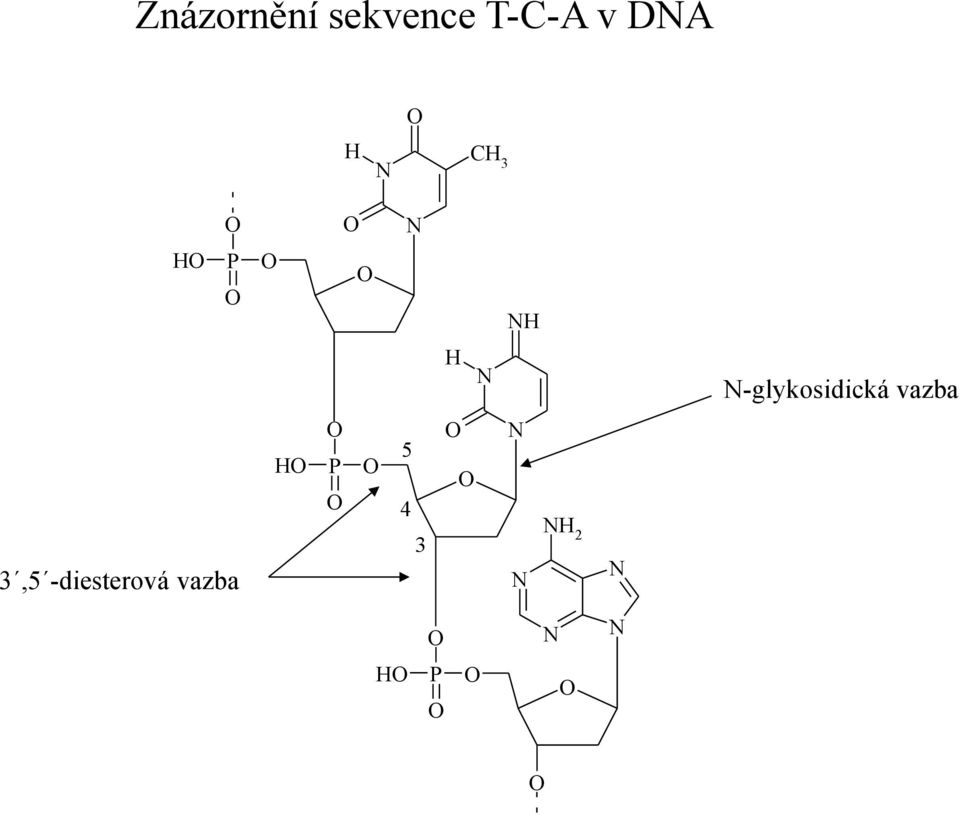 N-glykosidická vazba 3,5