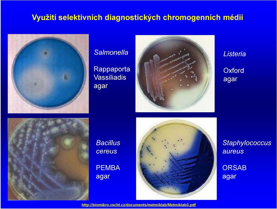 agar Bacillus cereus PEMBA agar Staphylococcus aureus