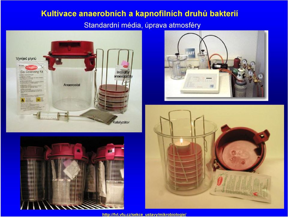 Kultivace anaerobních a