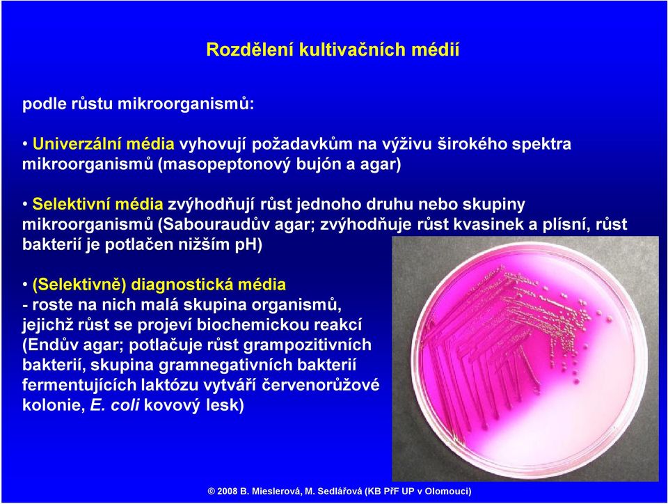 bakterií je potlačen nižším ph) (Selektivně) diagnostická média -roste na nich malá skupina organismů, jejichž růst se projeví biochemickou reakcí