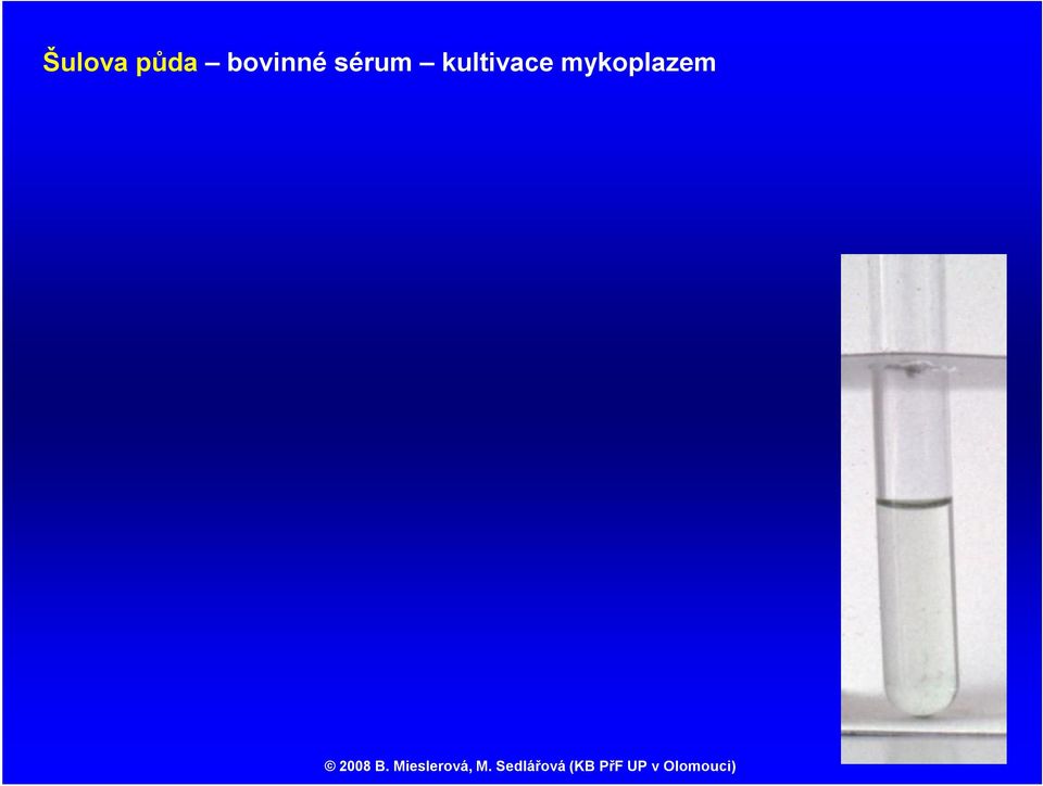 sérum