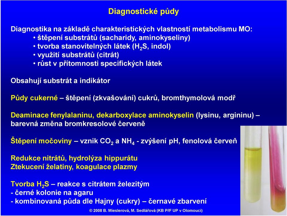 fenylalaninu, dekarboxylace aminokyselin (lysinu, argininu) barevná změna bromkresolové červeně Štěpení močoviny vznik CO 2 a NH 4 -zvýšení ph, fenolová červeň Redukce