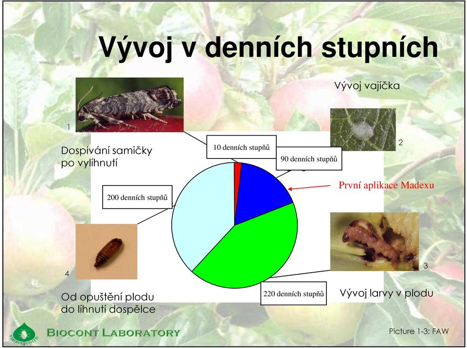 denních stupňů Tagesgrade První aplikace Madexu 4 Od opuštění plodu do líhnutí
