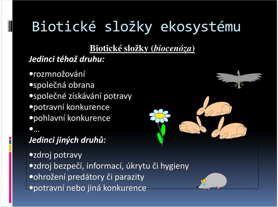 pohlavní konkurence Jedinci jiných druhů: zdroj potravy zdroj bezpečí,