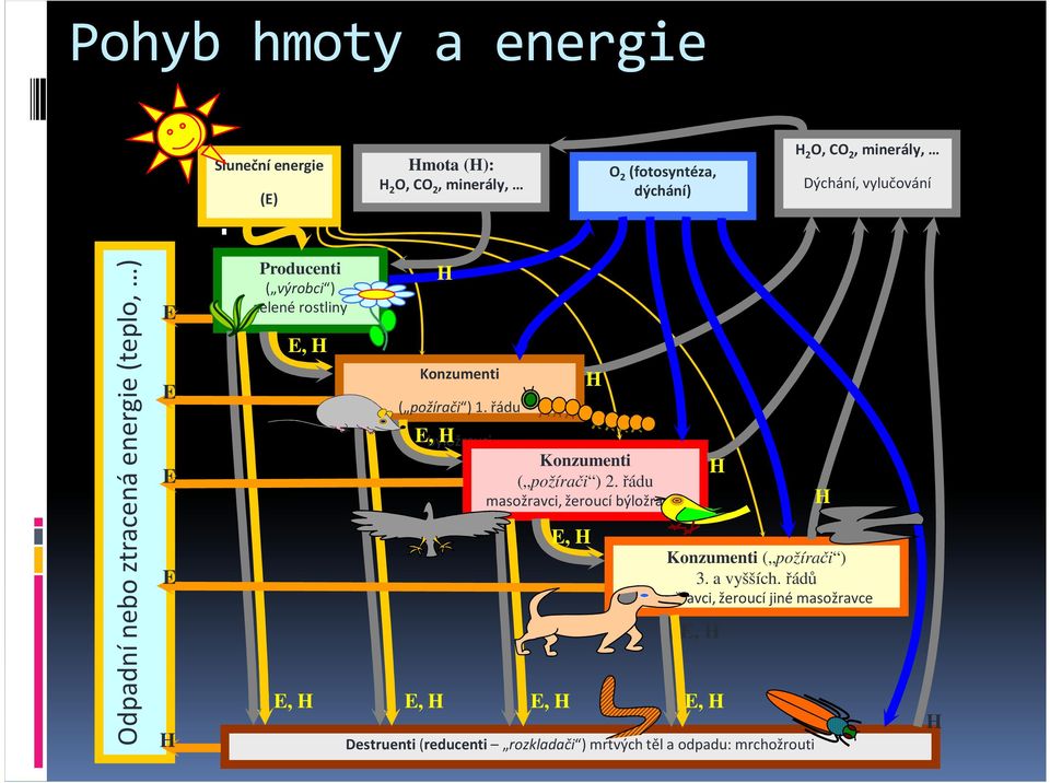 požírači ) 1. řádu E, H E, H H býložravci Konzumenti ( požírači ) 2.