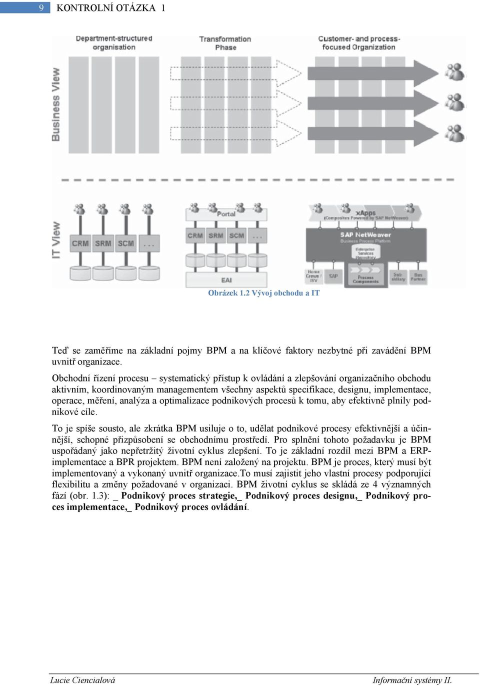 analýza a optimalizace podnikových procesů k tomu, aby efektivně plnily podnikové cíle.