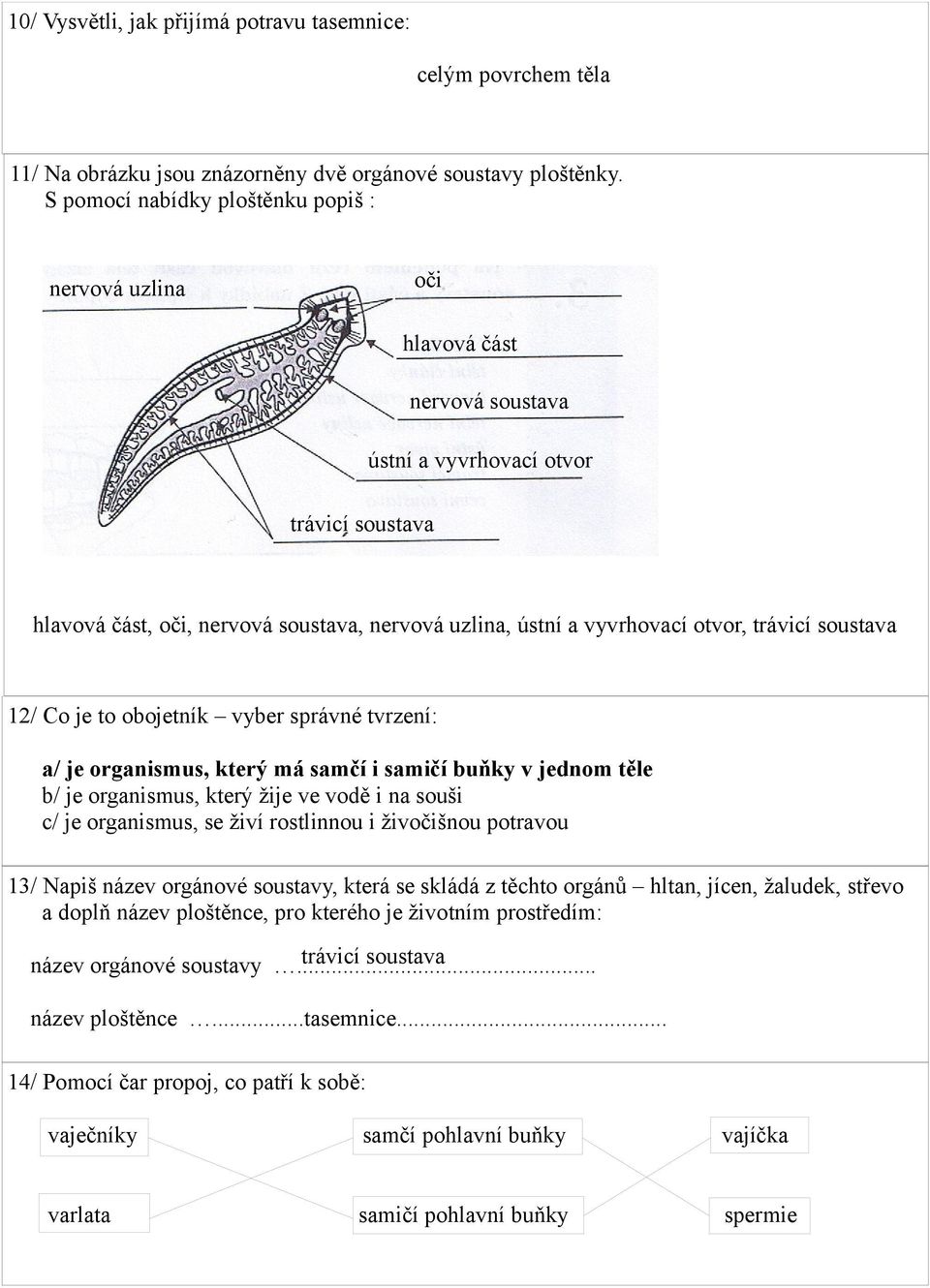 otvor, trávicí soustava 12/ Co je to obojetník vyber správné tvrzení: a/ je organismus, který má samčí i samičí buňky v jednom těle b/ je organismus, který žije ve vodě i na souši c/ je organismus,