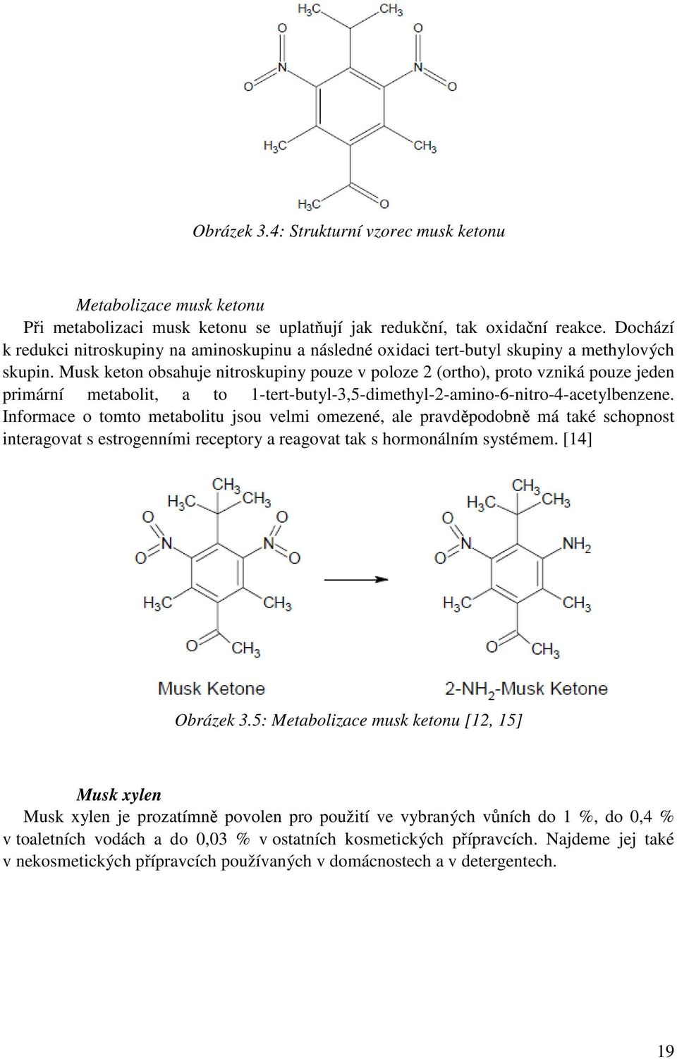 Musk keton obsahuje nitroskupiny pouze v poloze 2 (ortho), proto vzniká pouze jeden primární metabolit, a to 1-tert-butyl-3,5-dimethyl-2-amino-6-nitro-4-acetylbenzene.
