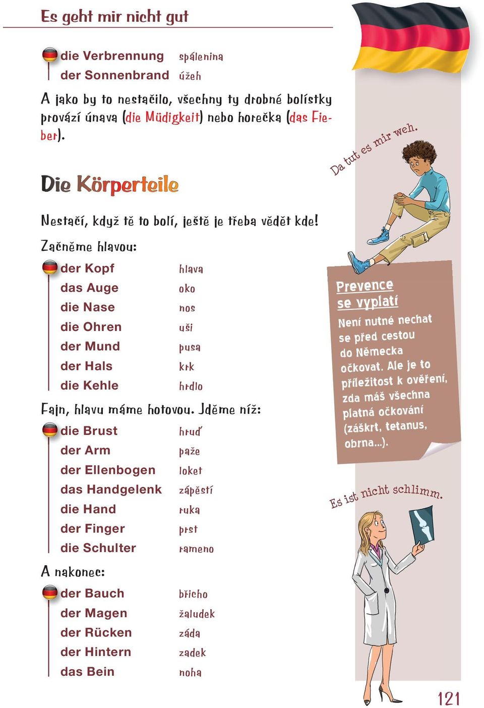 Začněme hlavou: der Kopf hlava das Auge oko die Nase nos die Ohren uši der Mund pusa der Hals krk die Kehle hrdlo Fajn, hlavu máme hotovou.