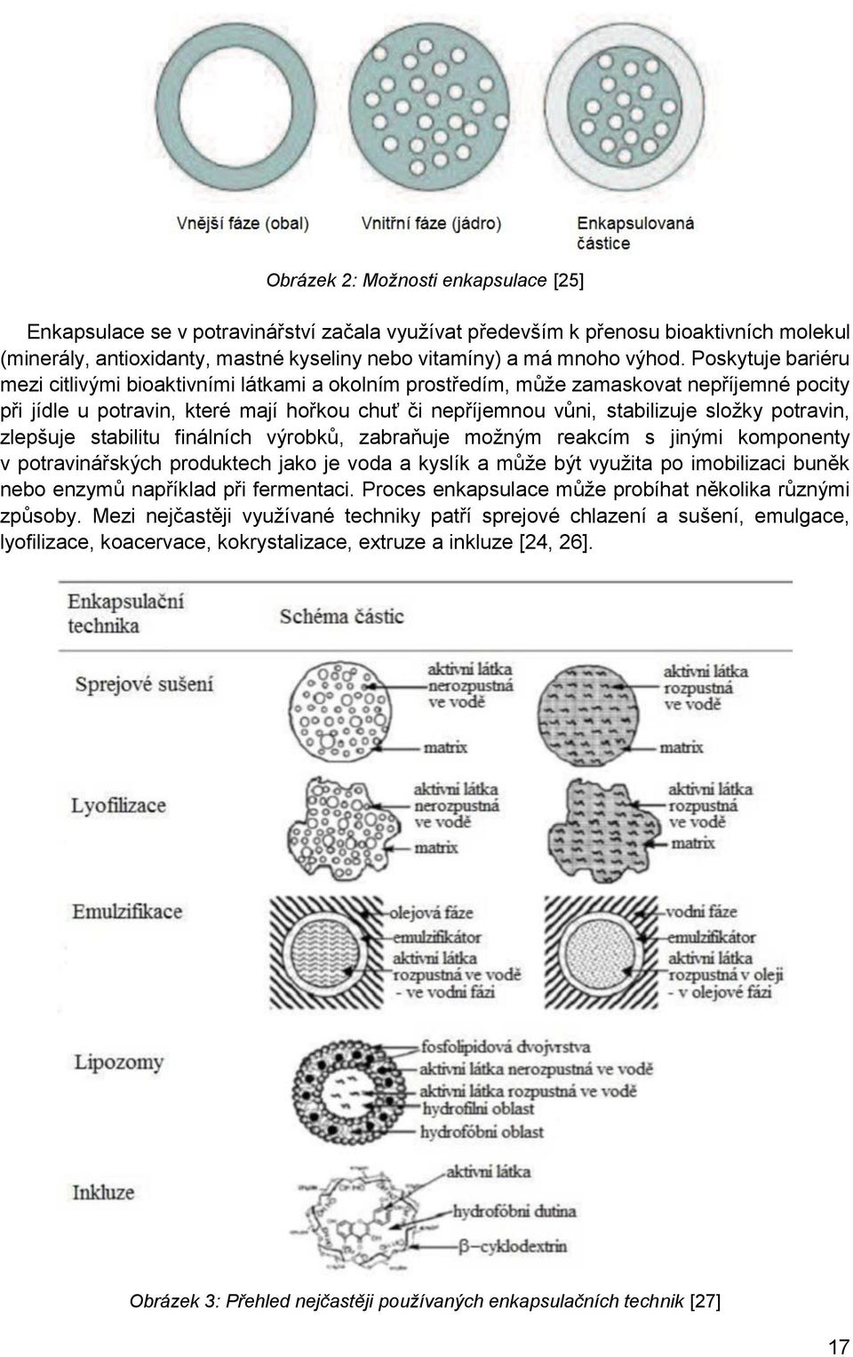 potravin, zlepšuje stabilitu finálních výrobků, zabraňuje možným reakcím s jinými komponenty v potravinářských produktech jako je voda a kyslík a může být využita po imobilizaci buněk nebo enzymů