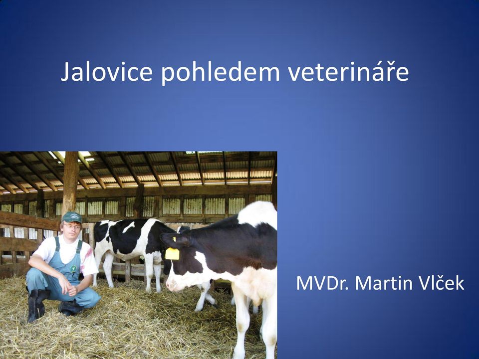 veterináře