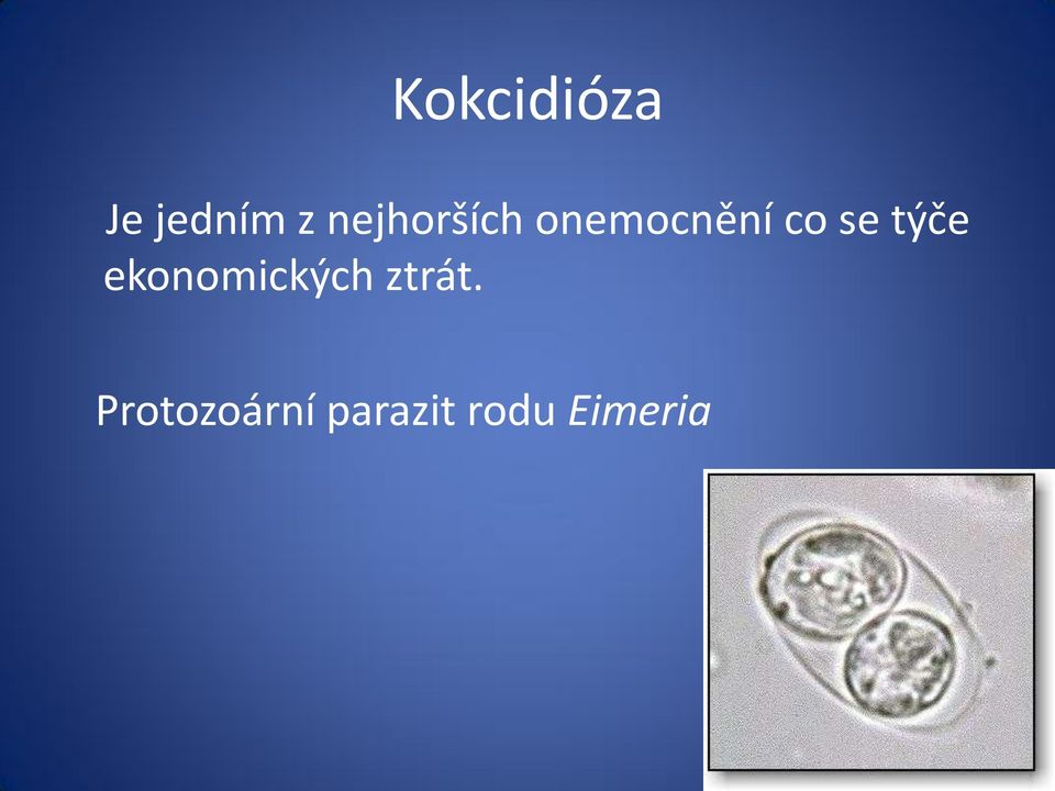 se týče ekonomických ztrát.