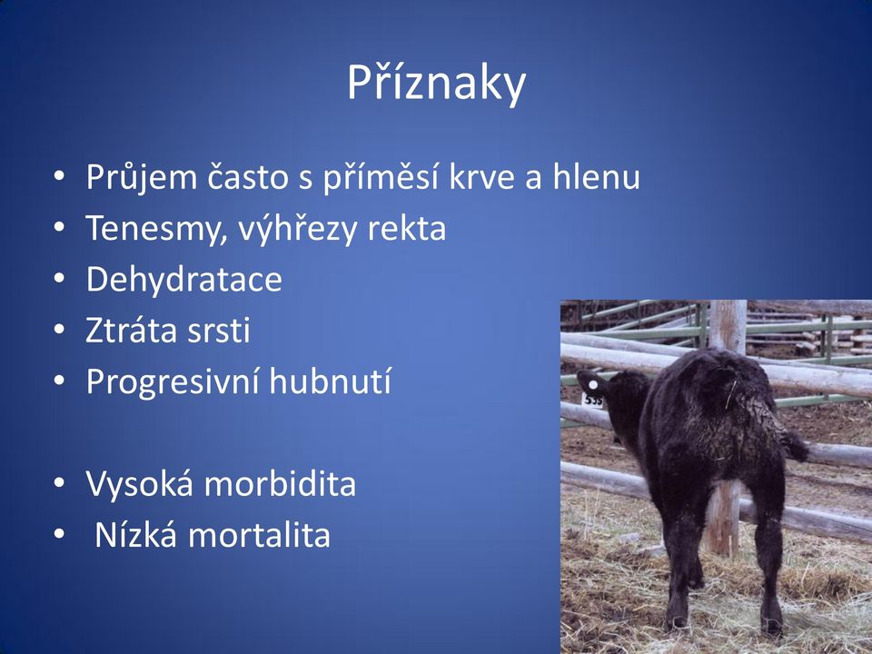 Dehydratace Ztráta srsti Progresivní