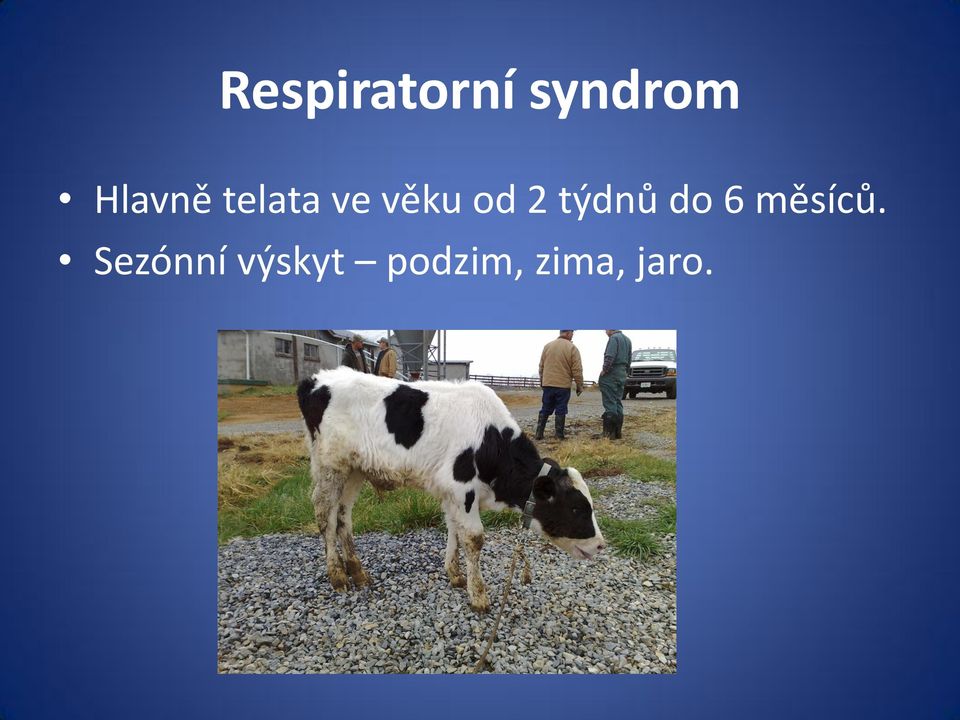 2 týdnů do 6 měsíců.