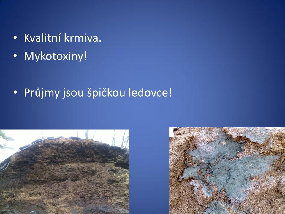 Mykotoxiny!