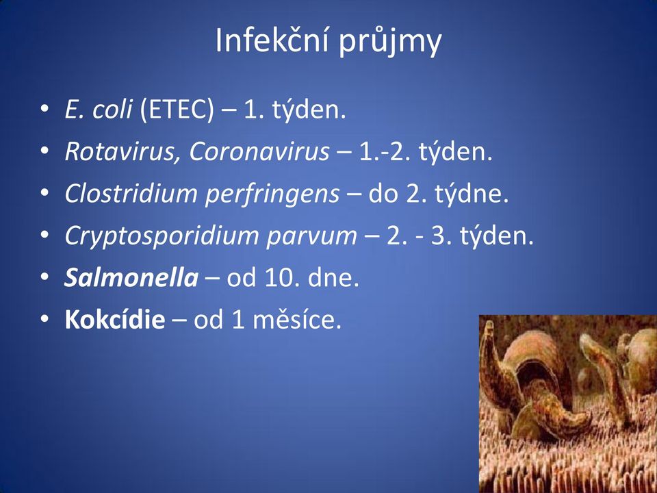 Clostridium perfringens do 2. týdne.