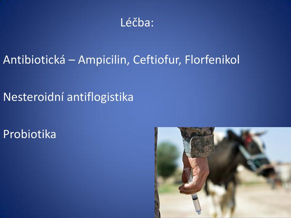 Florfenikol