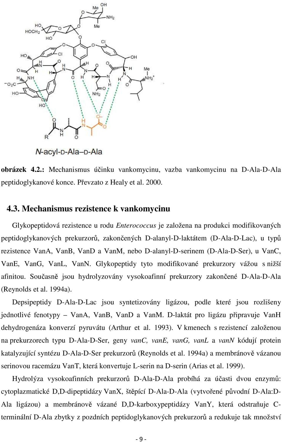 u typů rezistence VanA, VanB, VanD a VanM, nebo D-alanyl-D-serinem (D-Ala-D-Ser), u VanC, VanE, VanG, VanL, VanN. Glykopeptidy tyto modifikované prekurzory vážou s nižší afinitou.